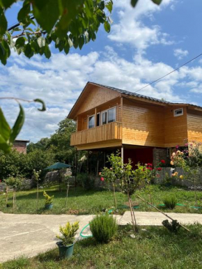 Marisi Cottage - კოტეჯი მარისი
